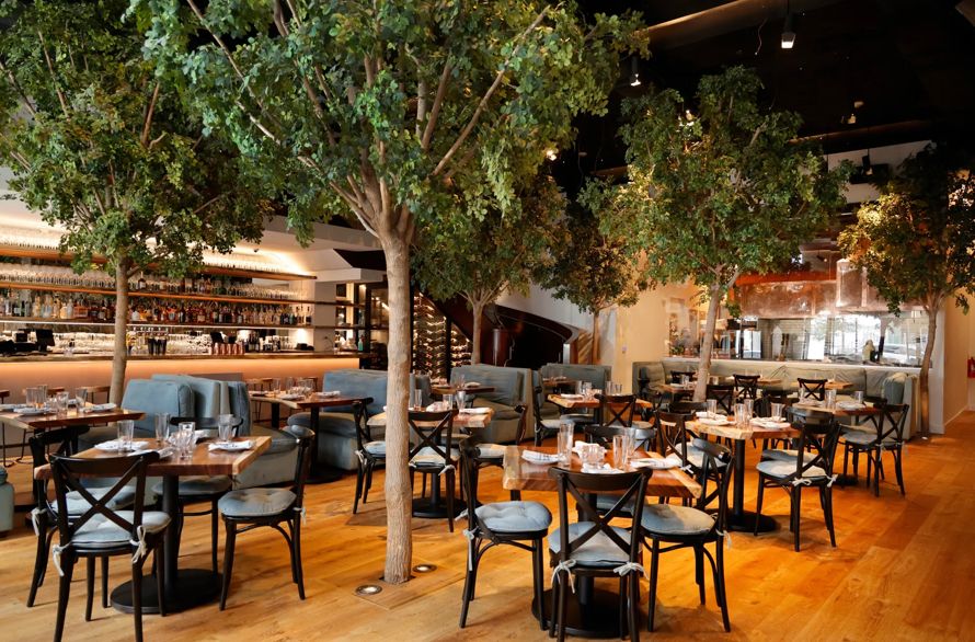 Photo of TIMBR Restaurant & Lounge